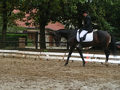 PO 2008 (6)
